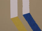 FrogTape® Delicate Surface Masking Tape 36mm x 41.1m