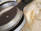 Spokeshave Twin Pack (1 Concave & 1 Convex)                                     
