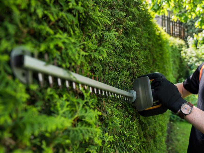MAXXPACK Hedge Trimmer 18V Bare Unit                                            
