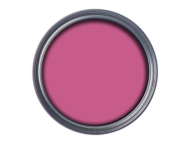Garden Paint Pink Jasmine 750ml