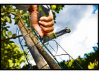 FP222 Fence Pliers and 200 VR22 Hog Rings Kit