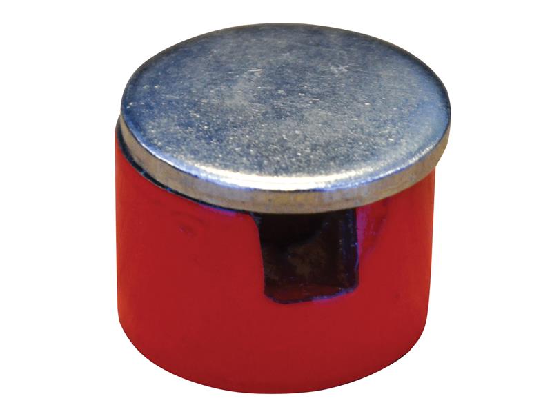 Button Magnet 12.5mm Power 0.7kg                                                