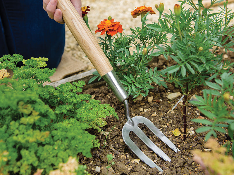 Stainless Steel Hand Border Fork, FSC®                                          