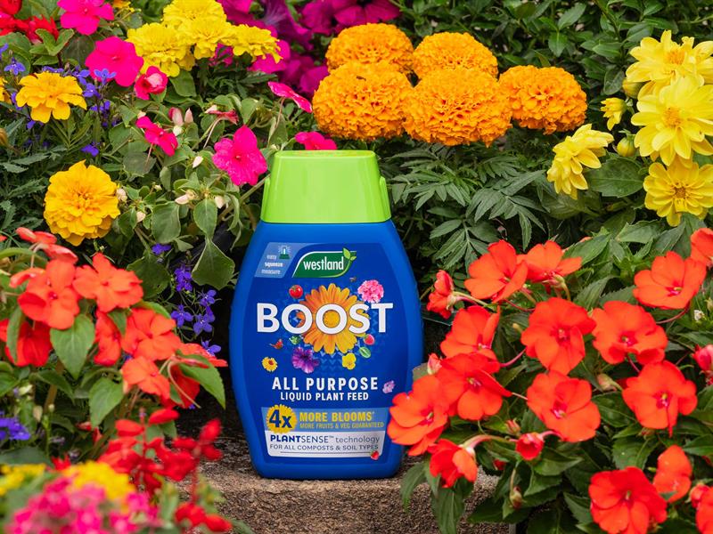 Boost All Purpose Liquid Plant Feed 1 litre