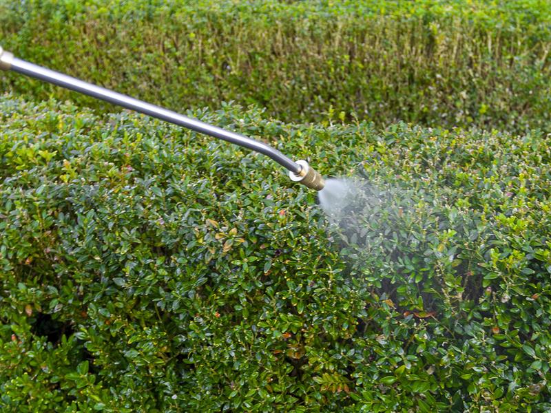 MAXXPACK Pressure Sprayer 7.5 litre 18V Bare Unit                               