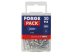 Self-Tapping Screw Pozi Compatible Pan Head SS 1in x 6 ForgePack 30             