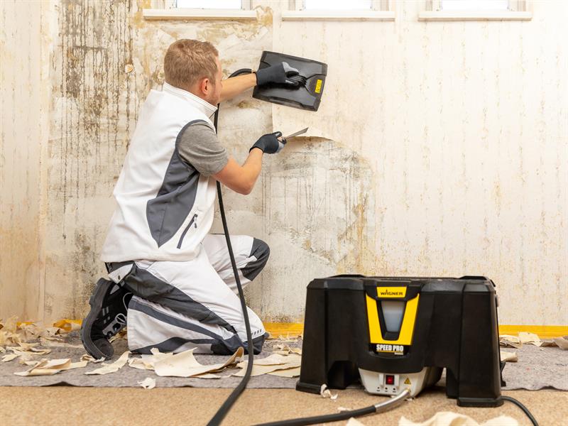 SteamForce Speed Pro