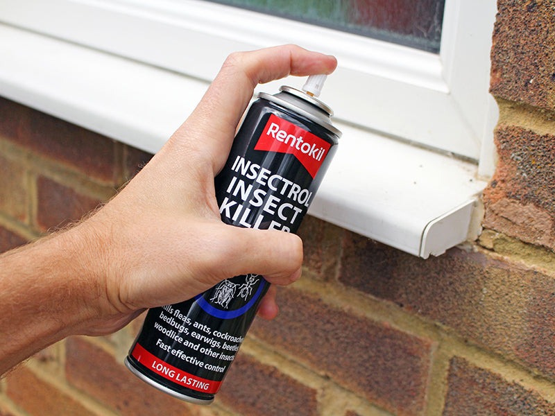 Insectrol - Insect Killer Spray Aerosol 250ml