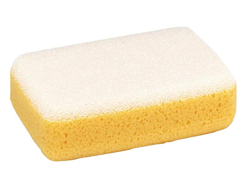 Large Scrub Sponge Hydra