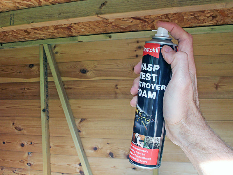 Wasp Nest Destroy Foam Aerosol 300ml