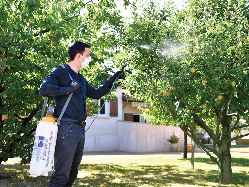 4232 Standard Pressure Sprayer 10 litre                                         