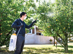 4232 Standard Pressure Sprayer 10 litre                                         