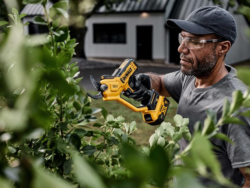 DCMPP568P1 XR Pruner 18V 1 x 5.0Ah Li-ion                                       