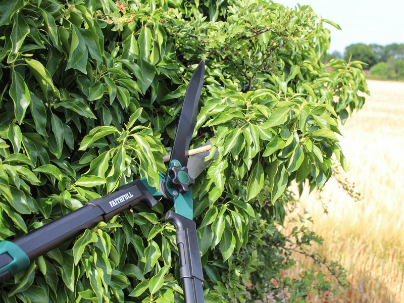 Countryman Hedge Shear 300mm (12in)                                             