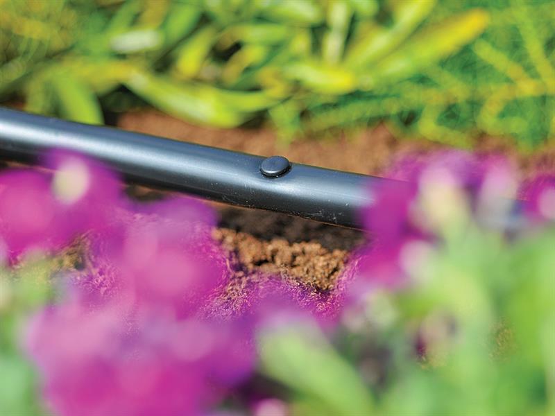 2779 Blanking Plug (Pack 10)                                                    