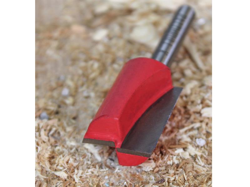 Router Bit TCT Two Flute 10.0 x 19mm 1/4in Shank
