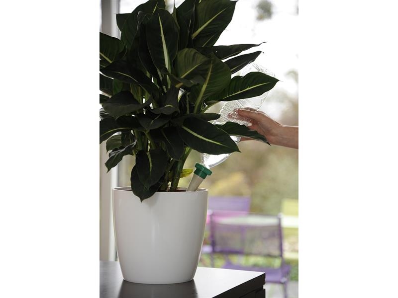 2717 Green Aquasolo Watering Cone for Medium 16in Pots (Pack 4)                 