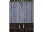 Prestige Stainless Steel Border Fork Ash Handle                                 
