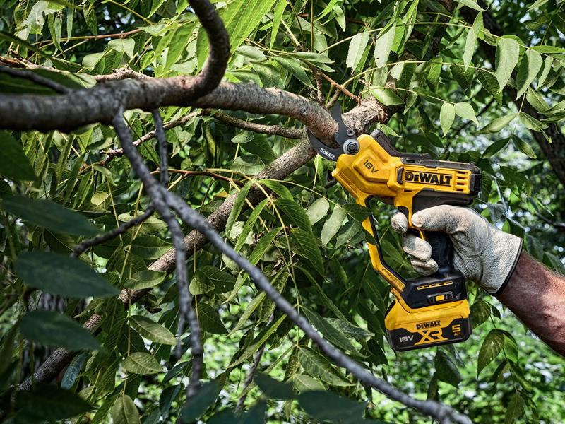 DCMPP568P1 XR Pruner 18V 1 x 5.0Ah Li-ion                                       