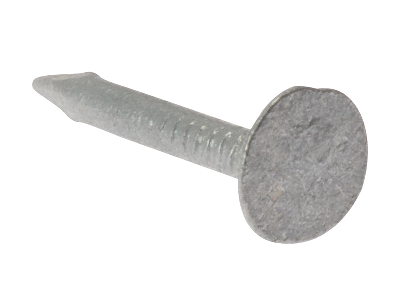 Clout Nail Extra Large Head Galvanised 30mm (500g Bag)                          