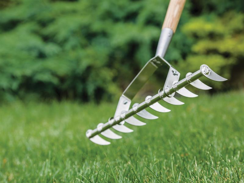 Stainless Steel Long Handled Scarifying Rake, FSC®                              
