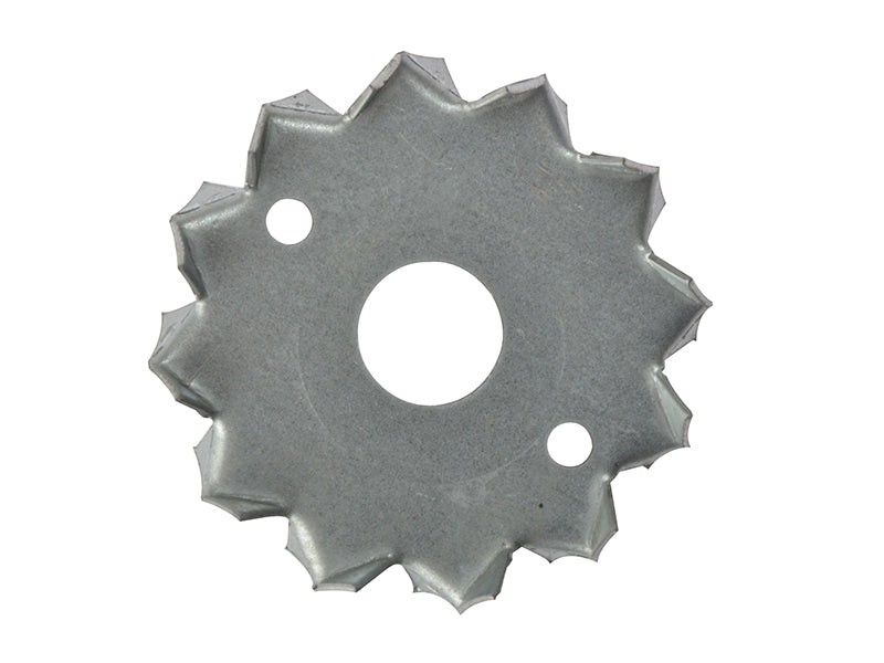 Dog Tooth Washer ZP 50 x 12mm Box 100                                           
