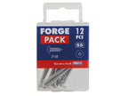 Self-Tapping Screw Pozi Compatible Pan Head SS 2in x 8 ForgePack 12             