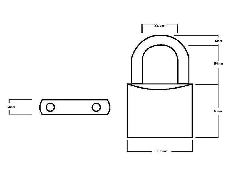 LN60 Lion Range Brass Padlock 60mm