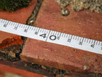 Rounded Long Tape 30m/100ft (Width 13mm)                                        