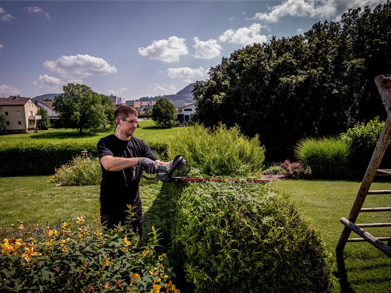 HS 18 LTX 55 Hedge Trimmer 18V Bare Unit