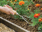 Stainless Steel Hand 3-Prong Cultivator, FSC®                                   