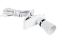 Clip-On Lamp Adaptor with Flex/Plug                                             