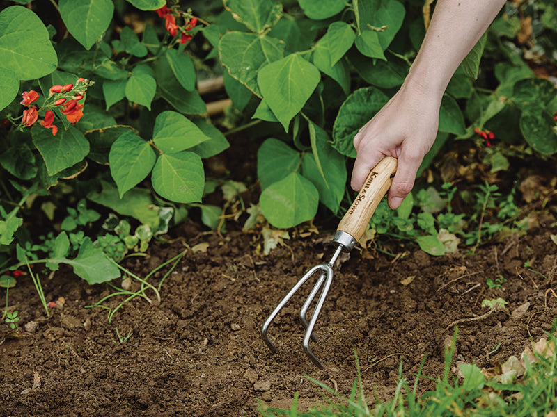 Stainless Steel Hand 3-Prong Cultivator, FSC®                                   