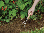 Stainless Steel Hand 3-Prong Cultivator, FSC®                                   