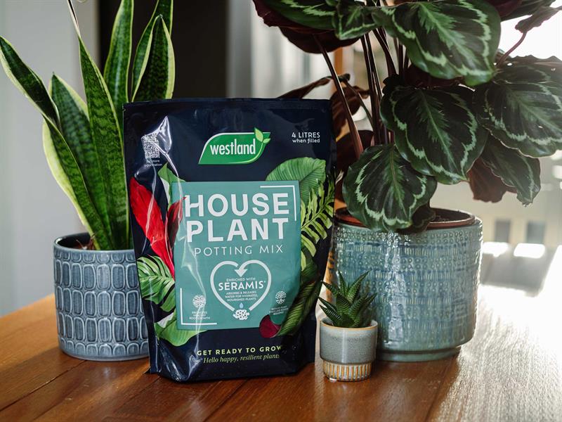 Houseplant Potting Mix 4 litre
