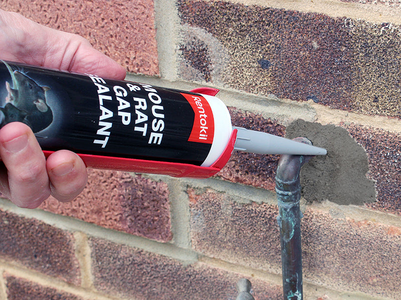 Mouse & Rat Gap Sealant