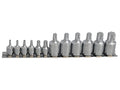 Mixed Drive TORX Socket Set, 12 Piece                                           