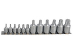 Mixed Drive TORX Socket Set, 12 Piece                                           