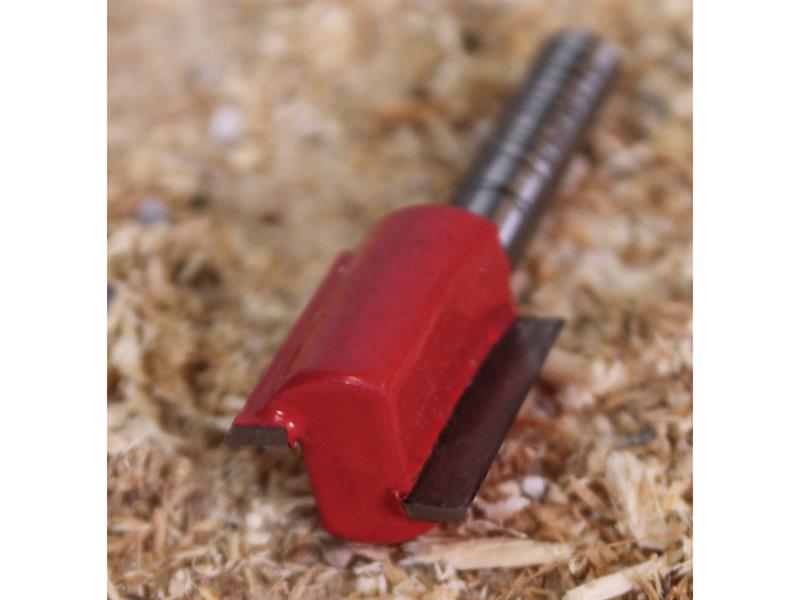 Router Bit TCT Two Flute 10.0 x 19mm 1/4in Shank