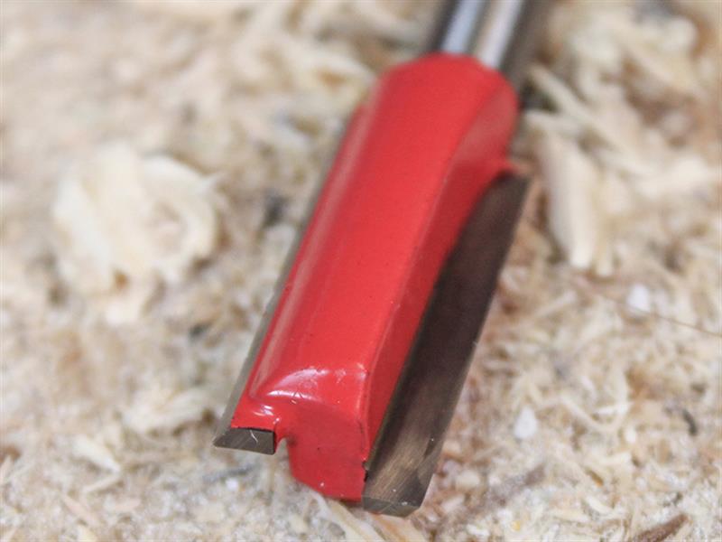 Router Bit TCT Two Flute 10.0 x 19mm 1/4in Shank