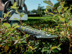 AHS 18-55 V Hedge Trimmer 18V Bare Unit