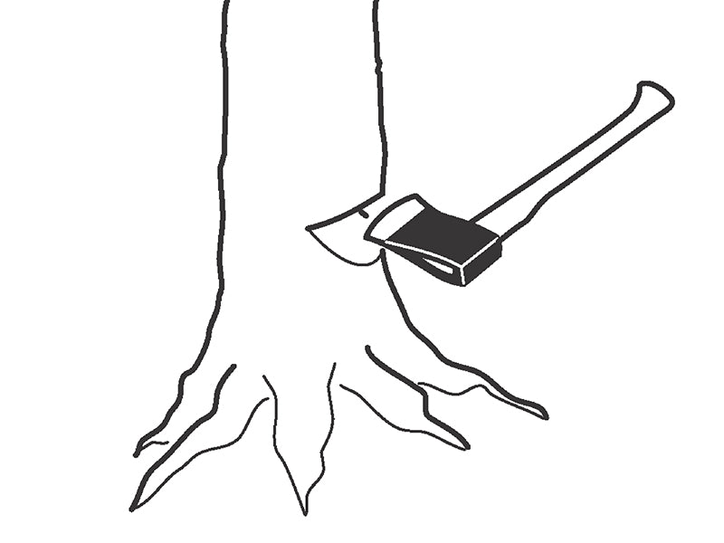 Felling Axe Ash Handle FGS 1.6-810 2.2kg                                        