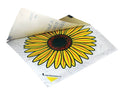 Advanced Window Fly Traps (Pack 4)