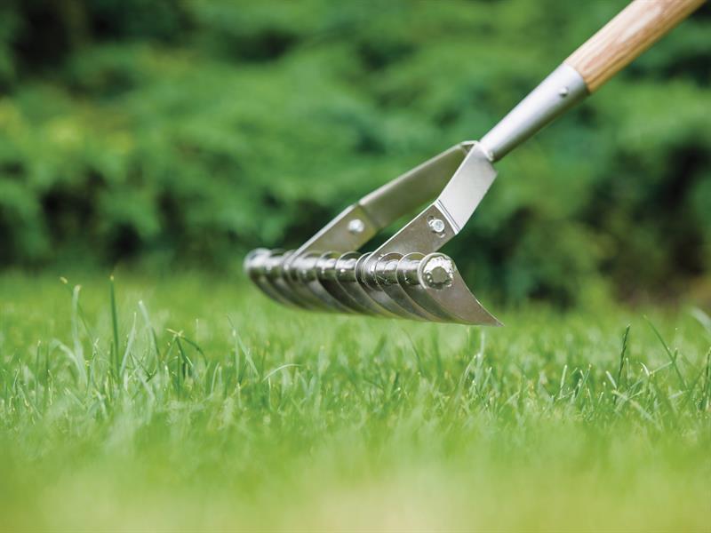Stainless Steel Long Handled Scarifying Rake, FSC®                              