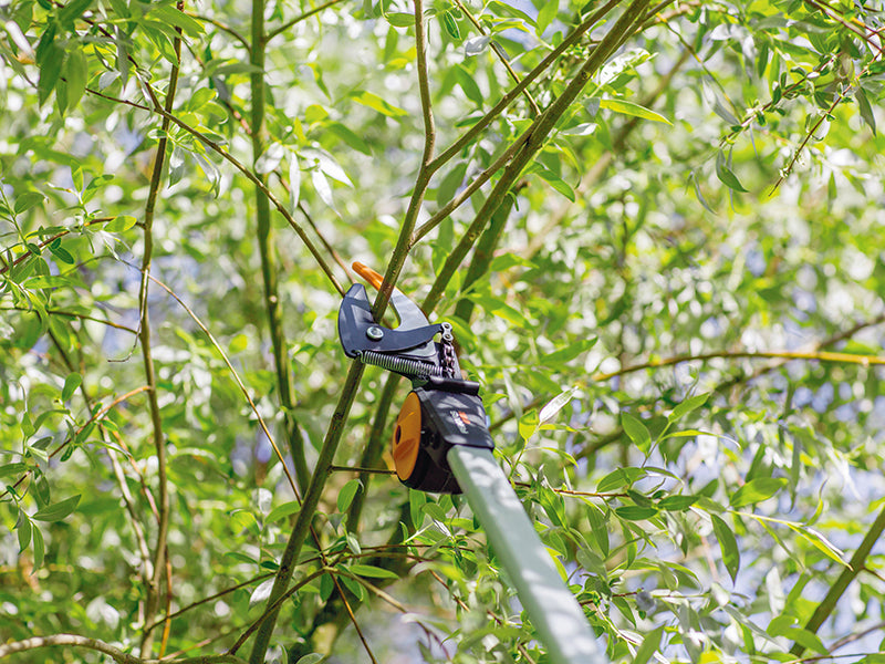 PowerGear™ Tree Pruner                                                          