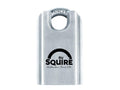 Stronghold® Stainless Steel Padlock
