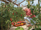 2810 Growbag Waterer                                                            